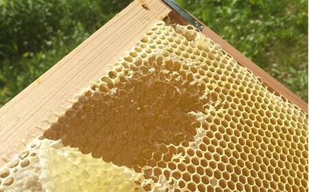 百花蜂蜜 約200g×5本 nkmryoho007A