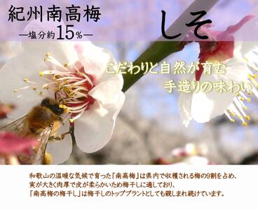 紀州南高梅 しそ 塩分約15％ 850g ［YM6m］ yamada003A