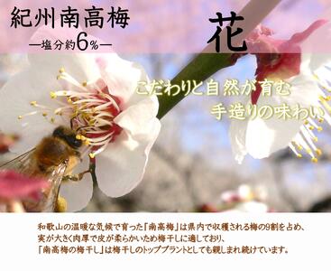 紀州南高梅 「花」 塩分約6％ 850g ［YM8m］ yamada001A