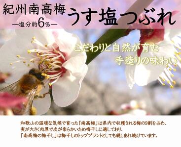 ご家庭用 大容量 紀州南高梅 うす塩 つぶれ 塩分約6％ 700g×2 ［YM15m］ yamada002A