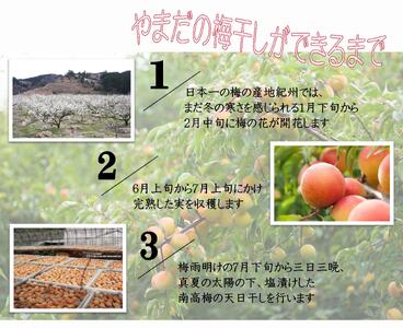 ご家庭用 大容量 紀州南高梅 しそ漬 つぶれ 塩分約15％ 700g×2 ［YM16m］ yamada006A