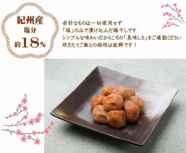紀州南高梅 白干 500g×2 塩分 約18% yamada012A
