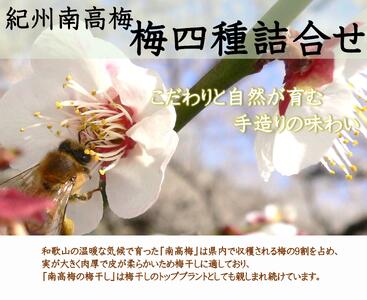 厳選 紀州南高梅 四種詰合せ 各200g×1 合計4箱 yamada013A