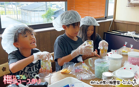 カフェドマンマ食事券1500円分&カラフル梅ジュースづくり体験チケット iwasho003A