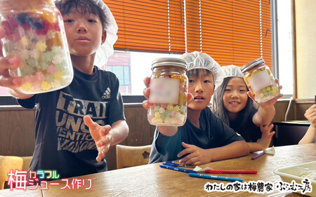 カフェドマンマ食事券1500円分&カラフル梅ジュースづくり体験チケット iwasho003A