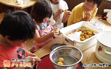 カフェドマンマ食事券1500円分&梅ジャムづくり体験チケット iwasho006A