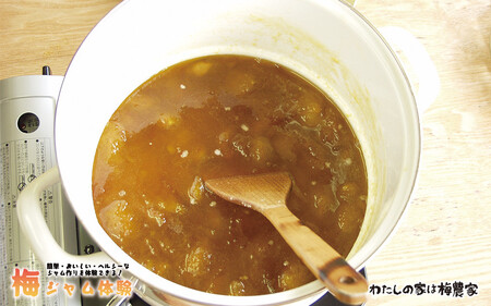 カフェドマンマ食事券1500円分&梅ジャムづくり体験チケット iwasho006A