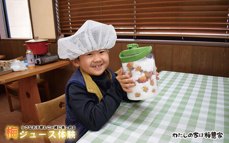 カフェドマンマ食事券1500円分&梅ジュースづくり体験チケット iwasho012A