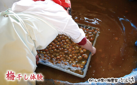 カフェドマンマ食事券1500円分&梅干し作業体験チケット iwasho008A