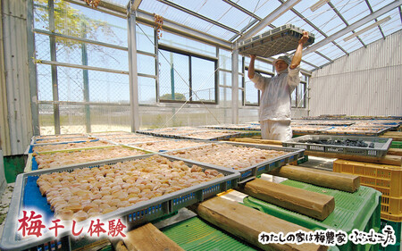 カフェドマンマ食事券1500円分&梅干し作業体験チケット iwasho008A