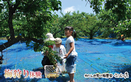 カフェドマンマ食事券2000円分＆梅狩り体験チケット ※≪6月1日～15日≫のみ体験受付可 iwasho007A