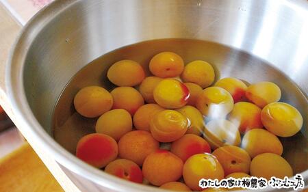 梅ジャムづくり体験ペアチケット iwasho010A