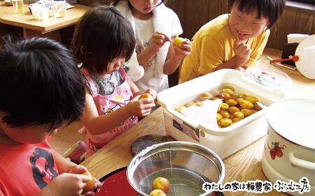 梅ジャムづくり体験ペアチケット iwasho010A