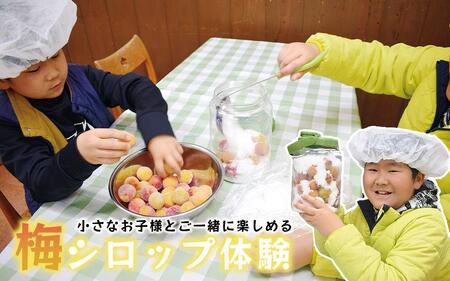梅ジュース＆梅ジャムづくり体験チケット  iwasho013A