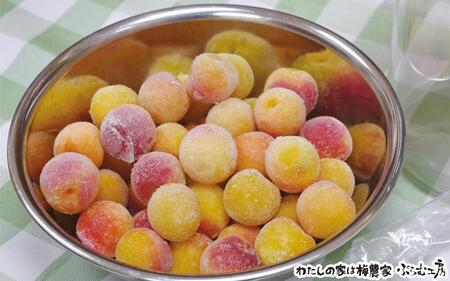 梅ジュース＆梅ジャムづくり体験チケット  iwasho013A