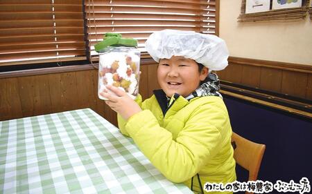 梅ジュースづくり体験ペアチケット iwasho014A