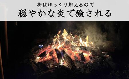 【定期便 毎月発送・全5回 】梅の薪 約14kg×5回 梅ボーイズ 広葉樹 【 広葉樹トップ級の火持ち】umehkr018A