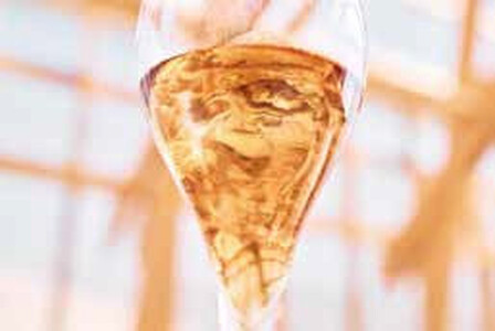 有機JAS認証 梅酒 「TAKADA Bio」 700ml tkdkaen010