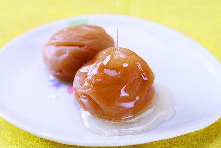 特選 紀州南高梅「白梅の里」はちみつ 約800g sekifz030B