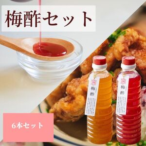 【梅ボーイズ】無添加 紀州南高梅の梅酢6本セット（白・紫蘇）天日塩使用【 umehkr024】