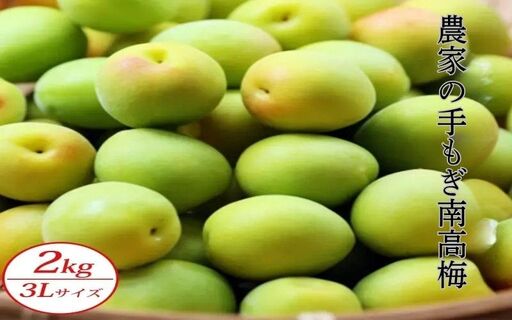 【青梅】農家の手もぎ南高梅2kg（3Lサイズ）【sakachu004A】