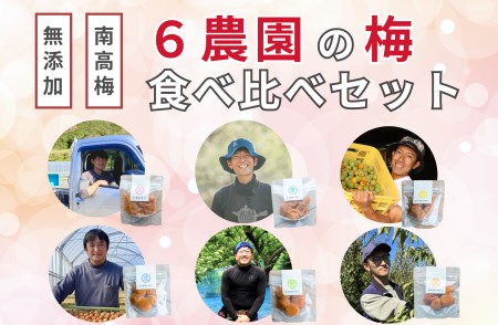A-067 【無添加梅干し】6農家さんの梅干し食べ比べセット/南高梅/梅ボーイズ