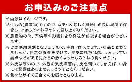 はるか 約 5kg サイズ混合 どの坂果樹園《3月上旬-5月下旬頃出荷》