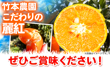 麗紅 (れいこう) 2kg サイズ おまかせ《2026年2月中旬-4月下旬頃出荷》竹本農園 和歌山県 日高川町 旬 新鮮 果物 柑橘 フルーツ 国産 送料無料 お試し サイズ 2000g みかん st-p