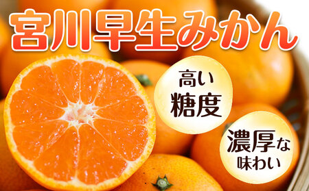 先行予約】秀品 贈答用 宮川 早生 みかん 約 5kg (2S～2Lサイズ