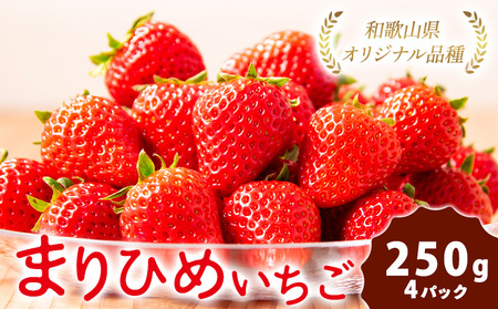 【先行予約】紀州和歌山ブランドいちご「まりひめ」約250g×4パック 約1kg 株式会社魚鶴《2026年3月上旬-3月下旬頃より出荷予定》和歌山県 日高川町 いちご 苺 まりひめ フルーツ 果物 スイーツ 送料無料