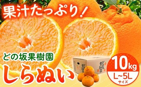 不知火 ( デコポン と同品種 ) しらぬい 約10kg(L～5Lサイズ) どの坂果樹園《2月中旬-4月上旬頃出荷》不知火 不知火