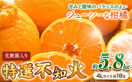 ＜先行予約＞特選 不知火 ( デコポン )と同品種 約5.8kg（4Lサイズ18玉） 長岡農園《2026年2月中旬-4月上旬頃出荷》和歌山県 日高川町 果物 フルーツ 柑橘 不知火 しらぬい デコポン と同品種 約5.8kg 送料無料 6,480円