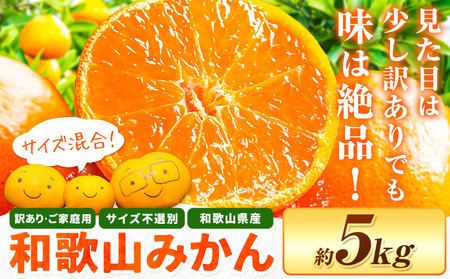 訳あり 和歌山みかん 約5kg サイズ混合 ご家庭用 (11月上旬-12月末頃出荷)|みかん 和歌山みかん 蜜柑