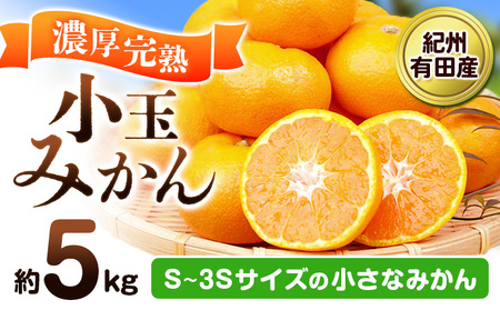 専用♥お年玉超特価♥みかん♥超肉厚⭐ゆったり大人☆Wボア★ネックウォーマー⭐ みかん 濃厚完熟 小玉みかん 約5kg｜和歌山県日高川町｜ポイント制