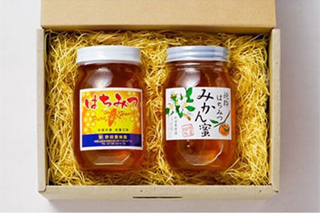 【和歌山県日高川町】みかん蜂蜜と百花蜜　蜂蜜2種類セット【1084808】