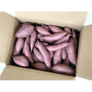 和歌山のサツマイモ在来種　小さめサイズ5kg【1282493】