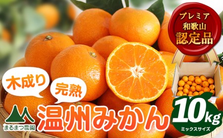 【先行予約】木成り完熟 温州みかんミックスサイズ10kg まるまつ農園《2025年12月上旬-2026年1月末頃出荷》 和歌山県 日高川町 温州みかん みかん 完熟