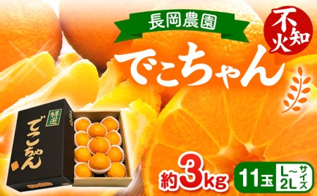 【先行受付】でこちゃん ( デコポン )と同品種 不知火 11玉 (約3kg) 長岡農園《2026年2月中旬-4月上旬頃出荷》和歌山県 日高川町 贈り物 ギフト 不知火 デコポン と同品種 デコポン でこぽん しらぬい 不知火 デコポン不知火 旬 柑橘 フルーツ 果物