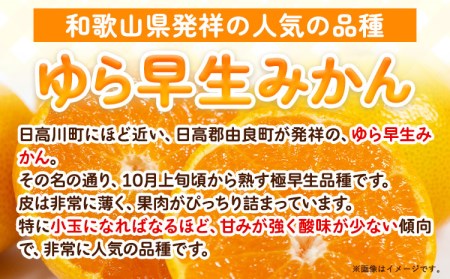 ゆら早生みかん5kg(2S～Lサイズ) どの坂果樹園《10月中旬-12月上旬頃出荷予定》｜みかんみかんみかんみかんみかんみかんみかんみかんみかんみかんみかんみかんみかんみかんみかんみかんみかんみかんみかんみかんみかんみかんみかんみかんみかんみかんみかんみかんみかんみかんみかんみかんみかんみかんみかんみかんみかんみかんみかんみかんみかんみかんみかんみかんみかんみかんみかんみかんみかんみかんみかんみかんみかんみかんみかんみかんみかんみかんみかんみかんみかんみかんみかんみかんみかんみかんみかんみかんみかんみかんみかんみかんみかんみかんみかんみかんみかんみかんみかんみかんみかんみかんみかんみかんみかんみかんみかんみかんみかんみかんみかんみかんみかんみかんみかんみかんみかんみかんみかんみかんみかんみかんみかんみかんみかんみかんみかんみかんみかんみかんみかんみかんみかんみかんみかんみかんみかんみかんみかんみかんみかんみかんみかんみかんみかんみかんみかんみかんみかんみかんみかんみかんみかんみかんみかんみかんみかんみかんみかんみかんみかんみかんみかんみかんみかんみかんみかんみかんみかんみかんみかんみかんみかんみかんみかんみかんみかんみかんみかんみかんみかんみかんみかんみかんみかんみかんみかんみかんみかんみかんみかんみかんみかんみかんみかんみかんみかんみかんみかんみかんみかんみかんみかんみかんみかんみかんみかんみかんみかんみかんみかんみかんみかんみかんみかんみかんみかんみかんみかんみかんみかんみかんみかんみかんみかんみかんみかんみかんみかんみかんみかんみかんみかんみかんみかんみかんみかんみかんみかんみかんみかんみかんみかんみかんみかんみかんみかんみかんみかんみかんみかんみかんみかんみかんみかんみかんみかんみかんみかんみかんみかんみかんみかんみかんみかんみかんみかんみかんみかんみかんみかんみかんみかんみかんみかんみかんみかんみかんみかんみかんみかんみかんみかんみかんみかんみかんみかんみかんみかんみかんみかんみかんみかんみかんみかんみかんみかんみかんみかんみかんみかんみかんみかんみかんみかんみかんみかんみかんみかん