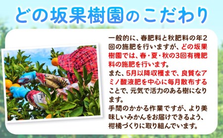 ゆら早生みかん5kg(2S～Lサイズ) どの坂果樹園《10月中旬-12月上旬頃出荷予定》｜みかんみかんみかんみかんみかんみかんみかんみかんみかんみかんみかんみかんみかんみかんみかんみかんみかんみかんみかんみかんみかんみかんみかんみかんみかんみかんみかんみかんみかんみかんみかんみかんみかんみかんみかんみかんみかんみかんみかんみかんみかんみかんみかんみかんみかんみかんみかんみかんみかんみかんみかんみかんみかんみかんみかんみかんみかんみかんみかんみかんみかんみかんみかんみかんみかんみかんみかんみかんみかんみかんみかんみかんみかんみかんみかんみかんみかんみかんみかんみかんみかんみかんみかんみかんみかんみかんみかんみかんみかんみかんみかんみかんみかんみかんみかんみかんみかんみかんみかんみかんみかんみかんみかんみかんみかんみかんみかんみかんみかんみかんみかんみかんみかんみかんみかんみかんみかんみかんみかんみかんみかんみかんみかんみかんみかんみかんみかんみかんみかんみかんみかんみかんみかんみかんみかんみかんみかんみかんみかんみかんみかんみかんみかんみかんみかんみかんみかんみかんみかんみかんみかんみかんみかんみかんみかんみかんみかんみかんみかんみかんみかんみかんみかんみかんみかんみかんみかんみかんみかんみかんみかんみかんみかんみかんみかんみかんみかんみかんみかんみかんみかんみかんみかんみかんみかんみかんみかんみかんみかんみかんみかんみかんみかんみかんみかんみかんみかんみかんみかんみかんみかんみかんみかんみかんみかんみかんみかんみかんみかんみかんみかんみかんみかんみかんみかんみかんみかんみかんみかんみかんみかんみかんみかんみかんみかんみかんみかんみかんみかんみかんみかんみかんみかんみかんみかんみかんみかんみかんみかんみかんみかんみかんみかんみかんみかんみかんみかんみかんみかんみかんみかんみかんみかんみかんみかんみかんみかんみかんみかんみかんみかんみかんみかんみかんみかんみかんみかんみかんみかんみかんみかんみかんみかんみかんみかんみかんみかんみかんみかんみかんみかんみかんみかんみかんみかんみかんみかんみかんみかん