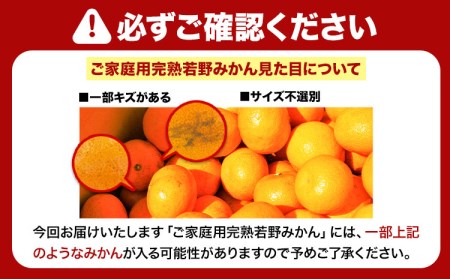 完熟 若野 みかん 約 10kg S～Lサイズ ご家庭用 サイズ混合 圦本農園