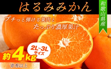 青秀以上 紀州有田産 はるみ 約4kg（2L～3Lサイズおまかせ）《2025年1月下旬-3月上旬頃出荷》和歌山県 日高川町 フルーツ 果物 はるみ 厳選館