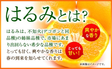 青秀以上 紀州有田産 はるみ 約4kg（2L～3Lサイズおまかせ）《2025年1月下旬-3月上旬頃出荷》和歌山県 日高川町 フルーツ 果物 はるみ 厳選館