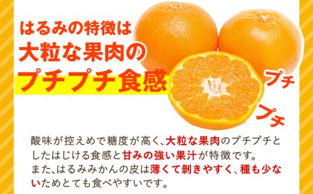 青秀以上 紀州有田産 はるみ 約4kg（2L～3Lサイズおまかせ）《2025年1月下旬-3月上旬頃出荷》和歌山県 日高川町 フルーツ 果物 はるみ 厳選館