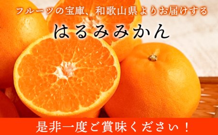 青秀以上 紀州有田産 はるみ 約4kg（2L～3Lサイズおまかせ）《2025年1月下旬-3月上旬頃出荷》和歌山県 日高川町 フルーツ 果物 はるみ 厳選館