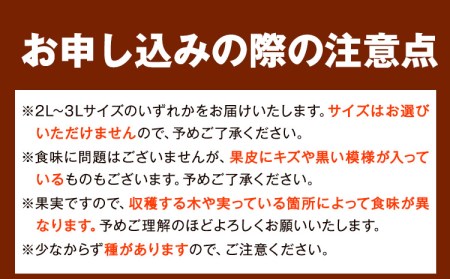 青秀以上 紀州有田産 はるみ 約4kg（2L～3Lサイズおまかせ）《2025年1月下旬-3月上旬頃出荷》和歌山県 日高川町 フルーツ 果物 はるみ 厳選館