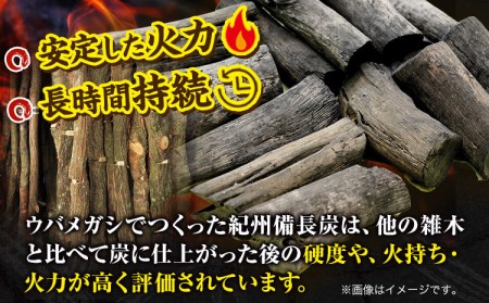 紀州備長炭 荒並 約5kg 望商店 《30日以内に出荷予定(土日祝除く)》紀州備長炭 炭 すみ スミ BBQ 焚火 キャンプ 炭火 備長炭 