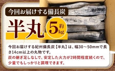 紀州備長炭 半丸 約5kg 望商店 《30日以内に出荷予定(土日祝除く 