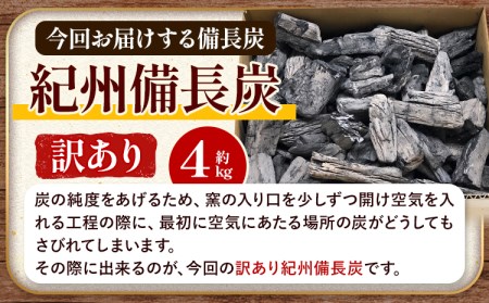 紀州備長炭 訳あり 約4kg 望商店 《30日以内に出荷予定(土日祝除く)》紀州備長炭 炭 すみ スミ BBQ 焚火 キャンプ 炭火 備長炭 