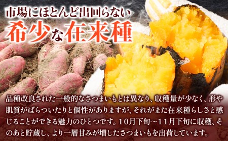 和歌山県のサツマイモ 在来種 厳選サイズ 5kg みはらファーム《12月中旬‐年4月下旬頃出荷》和歌山県 日高川町 みはらファーム さつま芋 薩摩芋